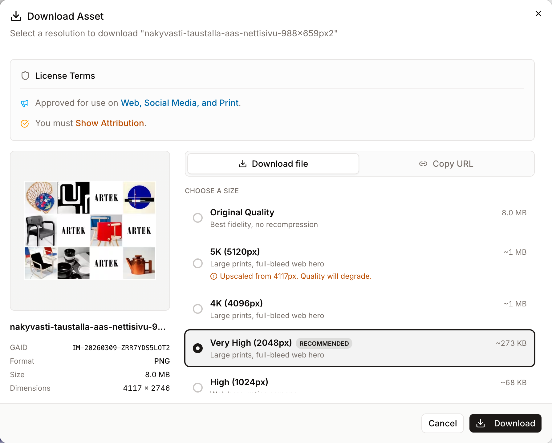The download dialog for an image asset, showing the tiered size list