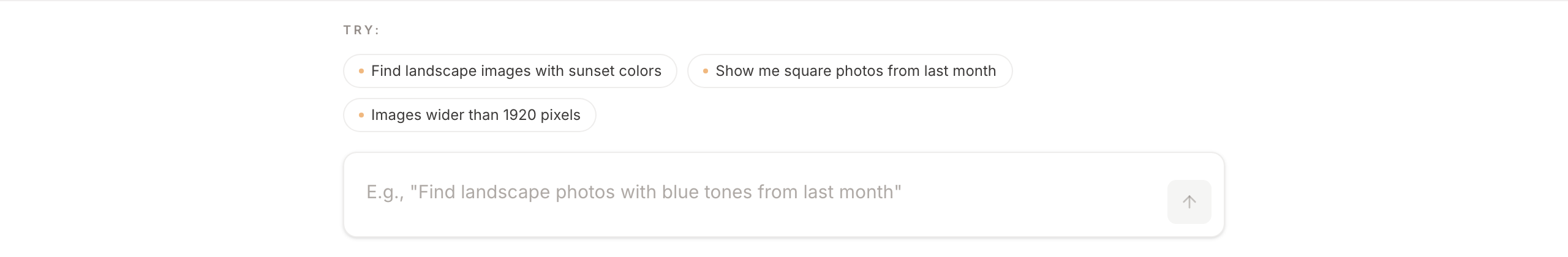 Chat Input Field