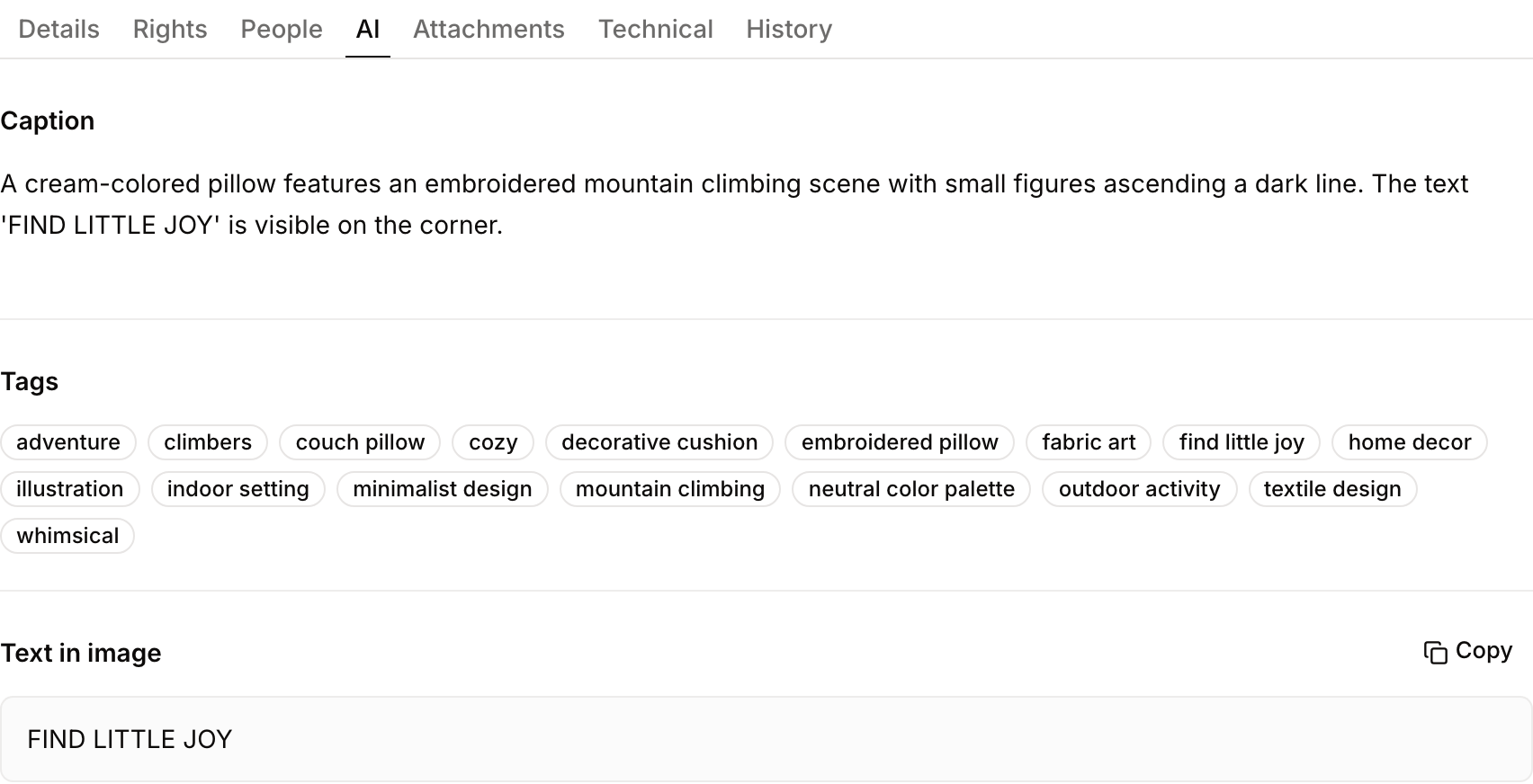 The AI tab of an asset, with the generated caption, tags and text found in the image