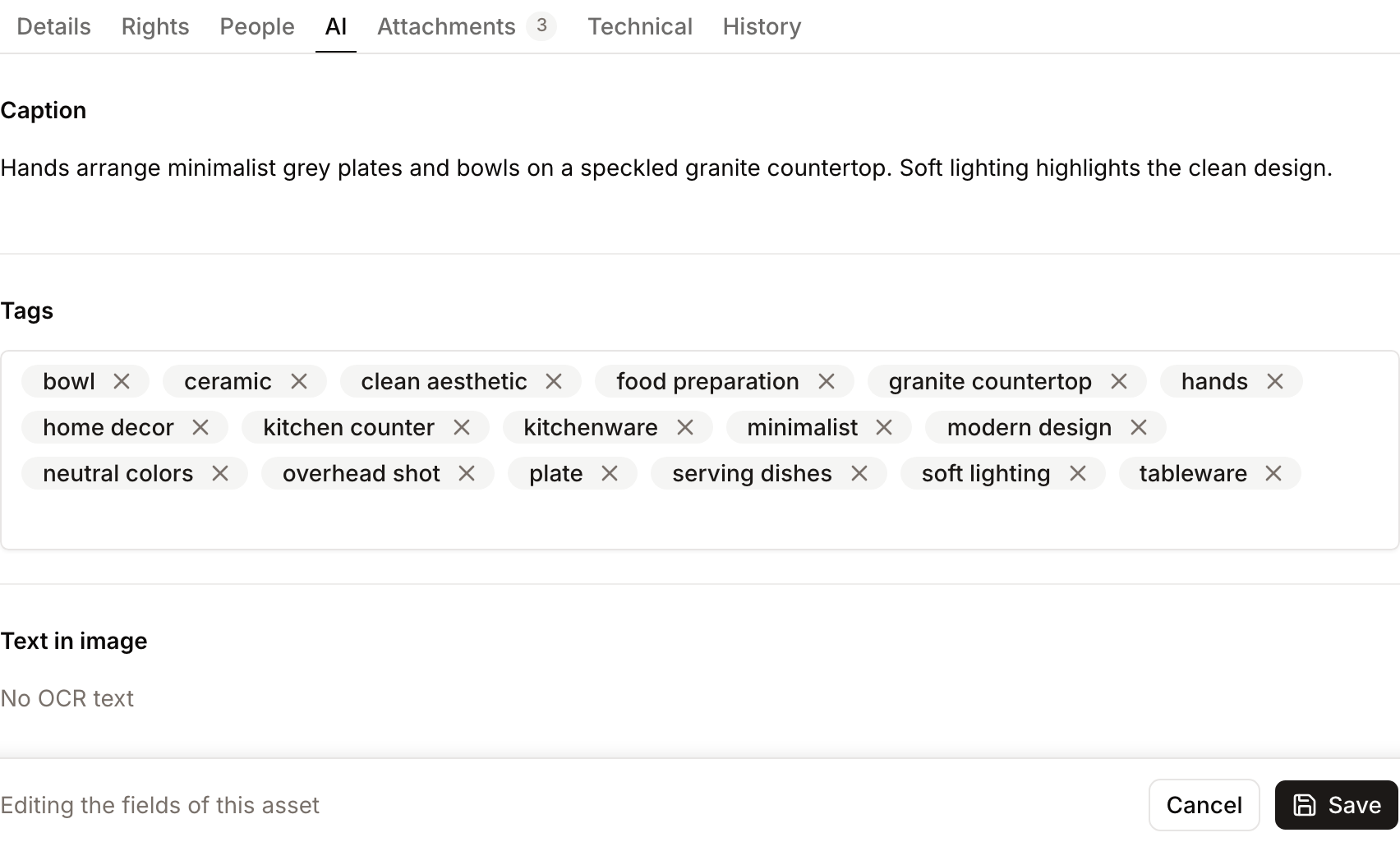 The AI tab in edit mode, with the tag input and the Save bar