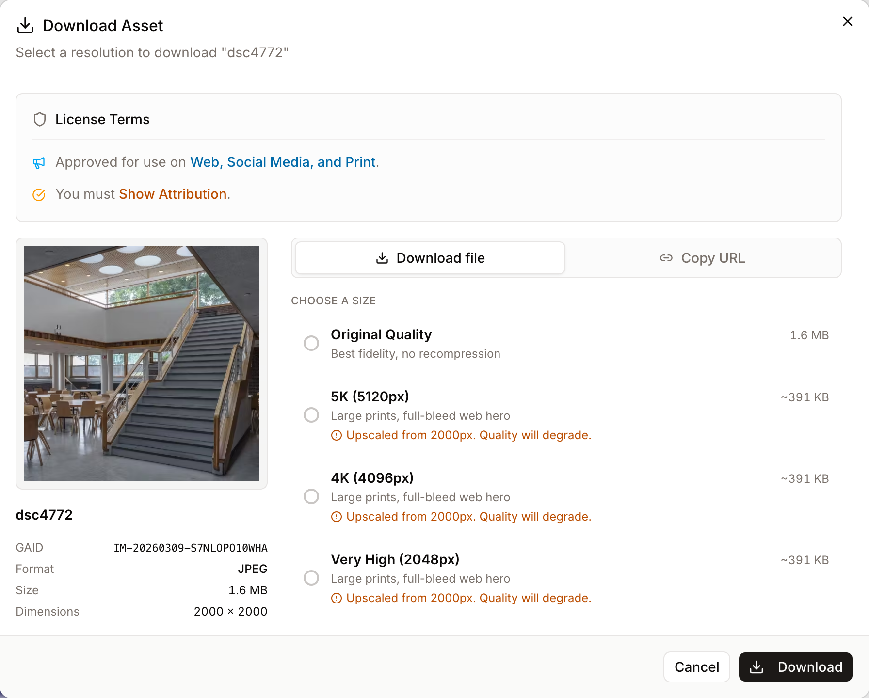 The single-asset download workbench, with the preview, size list, and mode toggle