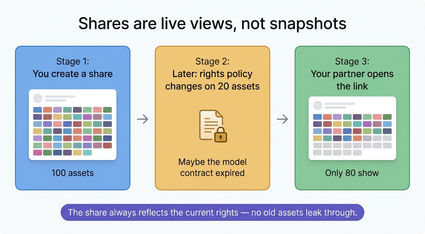 When you create a share of 100 assets and rights change on 20 later, your partner opens the link and sees only 80. The share reflects the current rights — no revoked content leaks through.